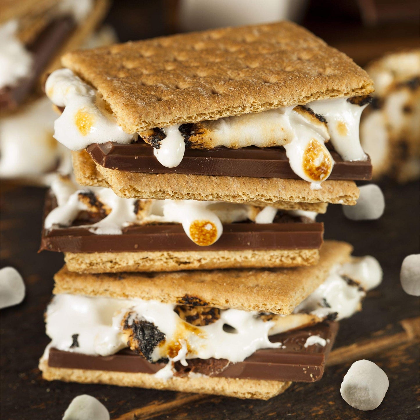 Ziyad Gourmet Halal Marshmallows, Pork-Free, Egg-Free, Dairy-Free, Gluten-Free, Perfect for Holidays and S’mores!