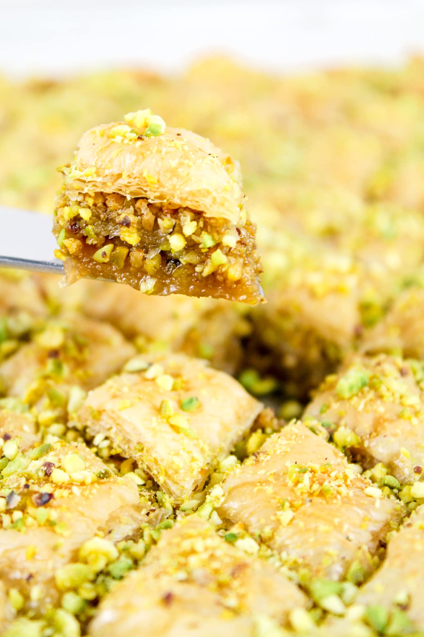 Setton Farms Naturally Raw Shelled Pistachios