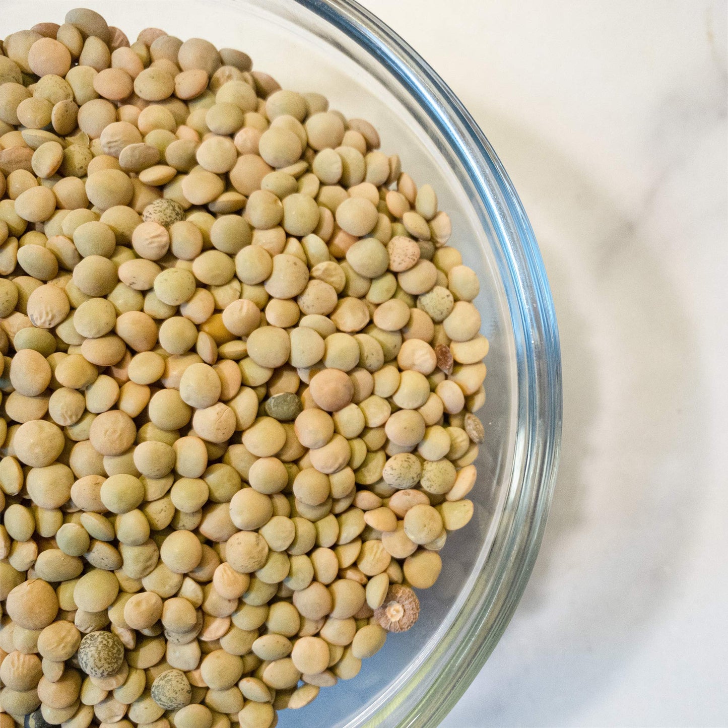 Ziyad Whole Lentils Variety – Bean Lentil 16 oz, All Natural Small 16 oz, Large Green 32 oz (Pack of 12)