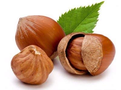 Turkish Hazelnut Butter 300 gr. - 2 Count