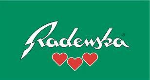 Radenska Water, Mineral, Plastic Btl, 50-Ounce (Pack of 6)