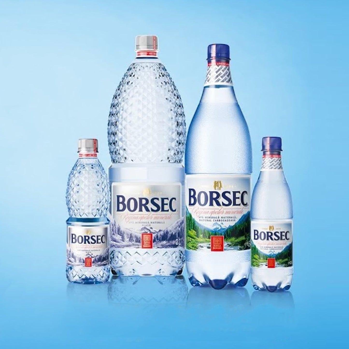 Borsec Mineral Water, 50.7 Fl Oz (Pack of 6)