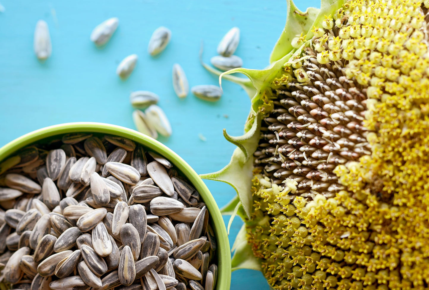 Meray Dakota Roasted and Salted Sunflower Seeds, 250G