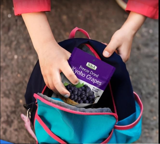 Kyoho Grapes Freeze Dried , Ready to Eat Snack, NON-GMO 3.52 Oz(100g) (Pack of 2)