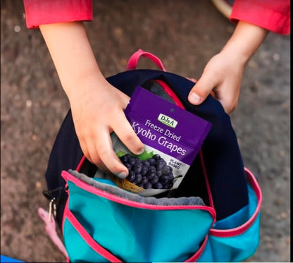 Kyoho Grapes Freeze Dried , Ready to Eat Snack, NON-GMO 3.52 Oz(100g) (Pack of 2)