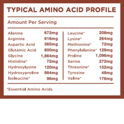 Further Food Dark Chocolate Collagen Peptides Powder Plus Reishi Mushroom 56 Servings 8,000 mg of Hydrolyzed Grass Fed,Keto, Paleo, Sugar Free