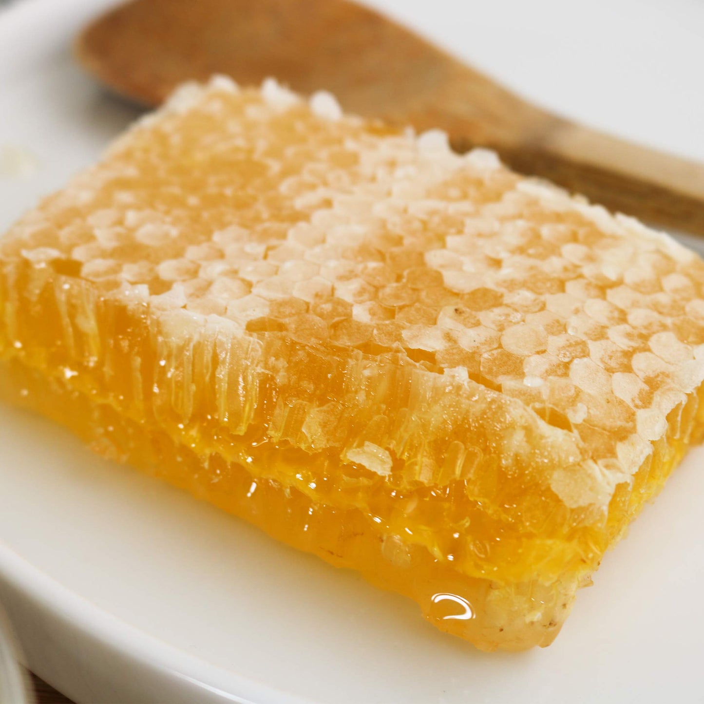 Wild Garden 100% Pure Raw Gourmet Honeycomb