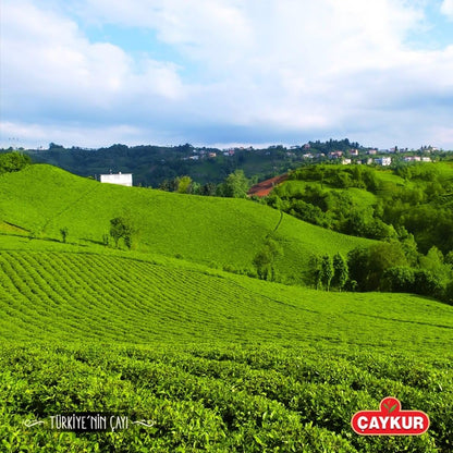 ÇAYKUR Rize Turist Black Tea, Authentic Turkish Loose Leaf Tea, Rich Aroma & Smooth Taste, Daily Rituals & Breakfast tea